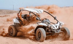 What makes Desert Dune Buggies an exciting experience?