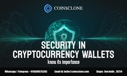 Security in Cryptocurrency Wallets: Understand its importance