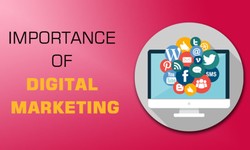 The Benefits of Practical Training at a Digital Marketing Institute in Janakpuri