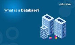 Database Providers in UAE