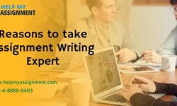 Reasons to take Assignment Writing Expert