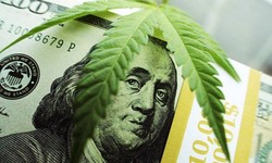 The Impact of Cryptocurrencies on Cannabis Market