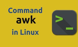 How to use awk command in Linux