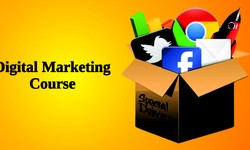 Elevate Your Career with the Best Digital Marketing Training