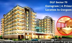 DLF Sector 79 Gurugram | A Prime Location In Gurgaon