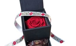 Best Valentine's Day Gift Ideas For Your Special One