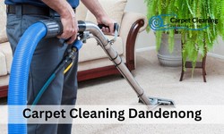 The Carpet Cleaning Secrets Everyone Should Know: How To Keep Your Home Spotless Year Round