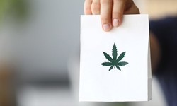 Benefits of Buying Weed From an Online Cannabis Store