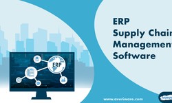 How the Complexity of a Supply Chain Management ERP Software Can Drive Decision-Making