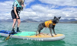 Key tips to Remember While Paddle Boarding