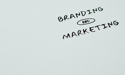 Rebranding: A Step-by-Step Approach for Business Success