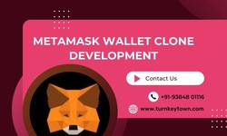 Decentralized Wallets: An Introduction to MetaMask