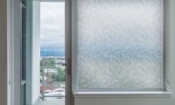 Most Common Privacy Window Film Questions Asked and Answered