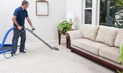 Should Carpet Be Replaced After Water Damage? Here's What You Need To Know