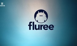 Monitoring the health and performance of a Fluree node