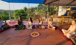 Which yoga teacher training is best in India? Oceanic Yoga