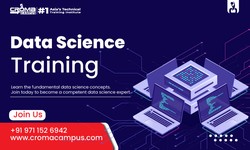 How to make a thriving career in Data Science?