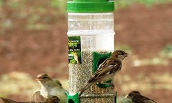 Know about Bird Feeders for the Bird Gardening Tools for Your Garden