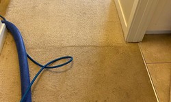 How Residential Carpet Cleaning Services Improve Indoor Air Quality