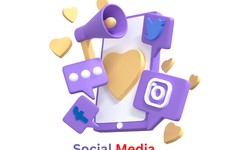Social Media Optimization Training In Surat