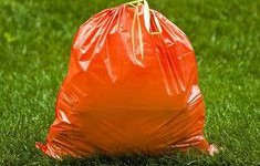 How to Dispose of Biodegradable Bags?