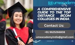 A Comprehensive Guide to the Top Distance BCom Colleges in India
