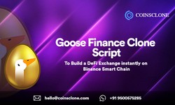 Goose Finance Clone Script: Make a DeFI Exchange Instantly
