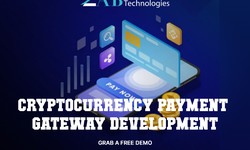 Crypto Payment Gateway Development - An Overview