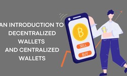 An introduction to decentralized Wallets and Centralized Wallets