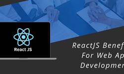 How Does ReactJS Benefit Web App Development?