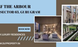 DLF The Arbour Sector 63 Gurgaon | Live In A World Where Commutes Are Shorter