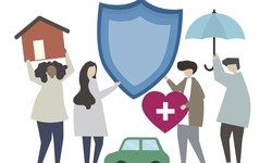 Protecting Your Assets: A Beginner's Guide to Insurance
