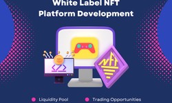 What are the key features that should be included in a white label NFT marketplace, and how can I customize it to meet my specific needs?