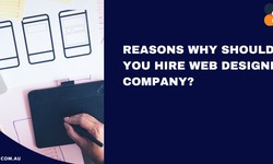 Reasons Why Should You Hire Web Designing Company?