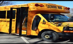 Top Reasons Why School Bus Transportation Is Important