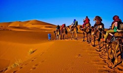 Morocco Desert Tours from Casablanca