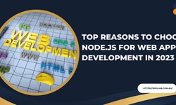 Top Reasons to Choose Node.js for Web App Development in 2023