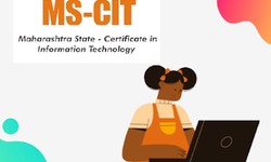 Learn About MS-CIT With The Help Of Best Institution Of Mira Road!