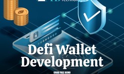 Defi wallet development- A complete guide