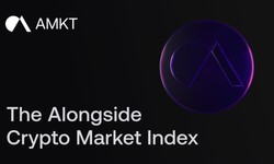 Understanding Alongside Crypto Market Index (AMKT)
