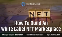 Why white label NFT marketplace the best choice for Business startups??