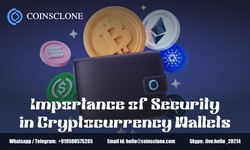 Importance of Security in Cryptocurrency Wallets