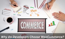 Why Do Developers Choose WooCommerce?