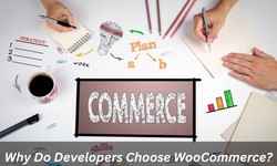 Why Do Developers Choose WooCommerce?