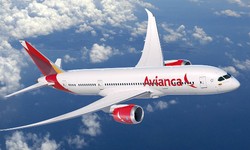 How many times can a customer change flight on Avianca?