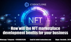 Why is the NFT marketplace the best choice for business startups?