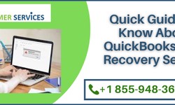 Quick Guide To Know About QuickBooks Data Recovery Service