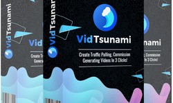 VidTsunami Review - Ultimate Video Traffic Generator - Make Us OVER $1000/DAY WITHOUT Any Skills