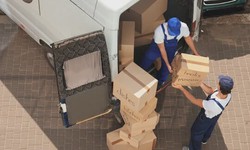 Why Local Removal Companies are best option