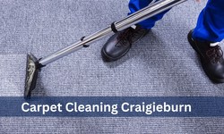 5 Reasons To Clean Your carpets Yourself Instead Of Hiring A Professional